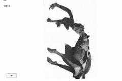 82.-DANZATRICE-DELLE-AZALEE