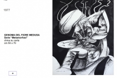 162.-GENOMA-DEL-FIORE-MEDUSA-1978