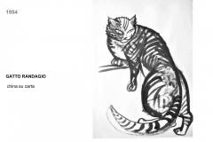 4.2-1954-GATTO-RANDAGIO