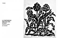 5.3-TARTARUGA-FRETTOLOSA